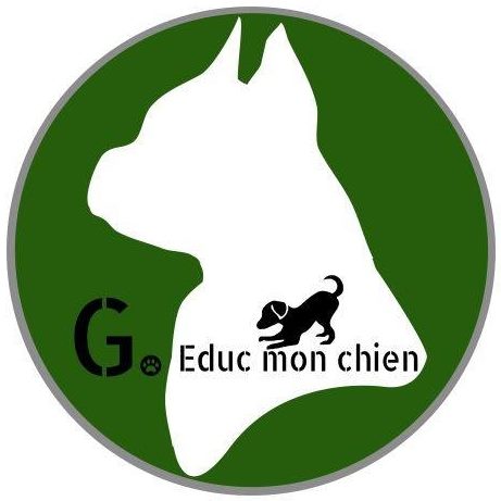 G educ mon chien